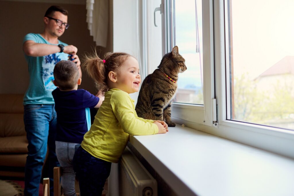 window replacement